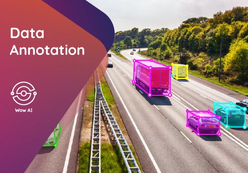 Data Annotation & Labeling