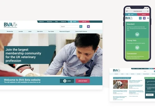 Transforming an eminent NPO's website