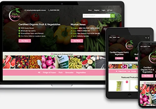 Holy Organic - E-commerce