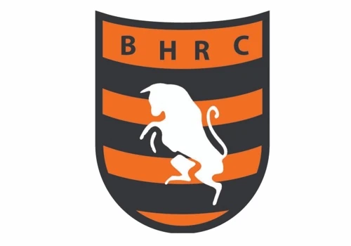 Bajo Hondo RC