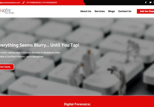 Designed Website for Proaxis Solutions