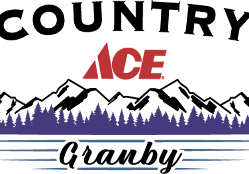 Country Ace Hardware Case Study