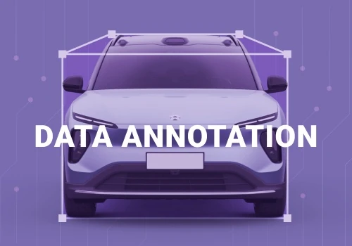 Data Annotation