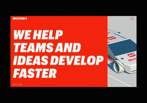 Roosh ventures - web development