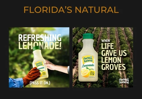 Digital Campaign for Florida's Natutal.
