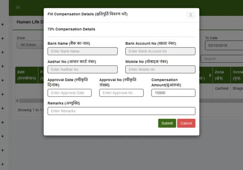 Developing an Online Management Information System