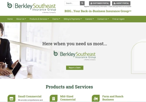 BSIG WordPress Project
