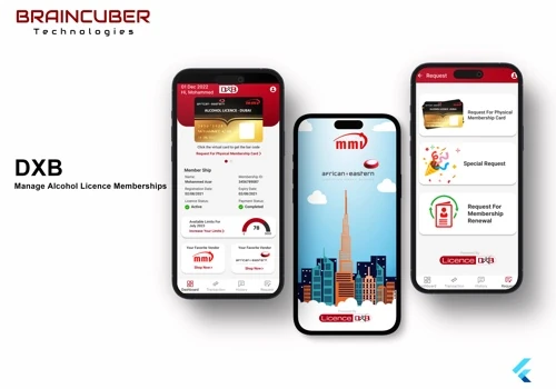 Online Licensing Portal Development