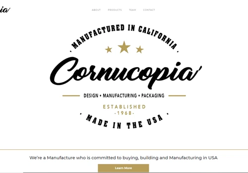 Rebranding an existing company