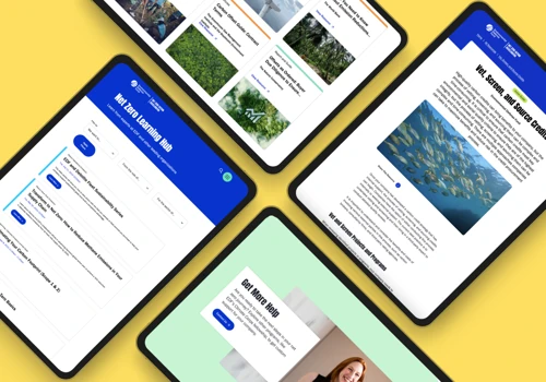 EDF Net Zero Action Acellerator Website Design