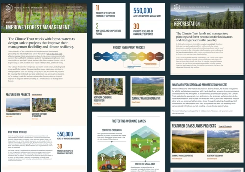 The Climate Trust | Branding & Web Design