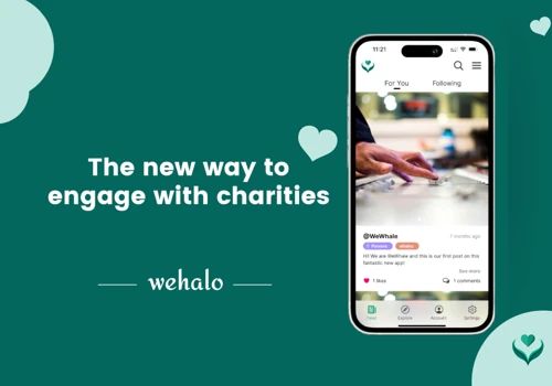 WeHalo