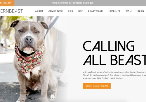 Modernbeast Web Development