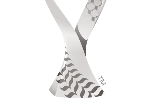 FIFA ARAB CUP 2021