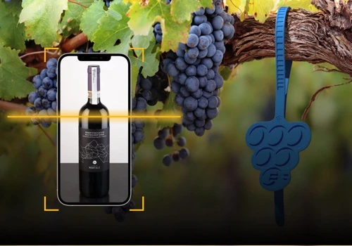 LiquidVineyards