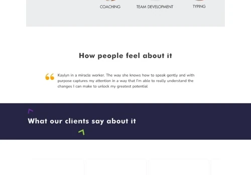 Website design for a consultant