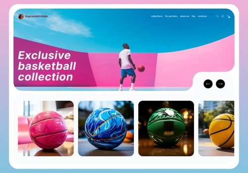 Web design concept for Basketball shop