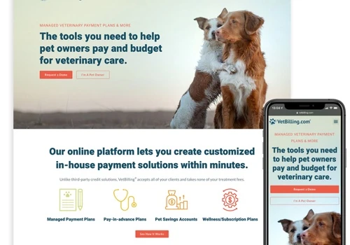 VetBilling.com website design