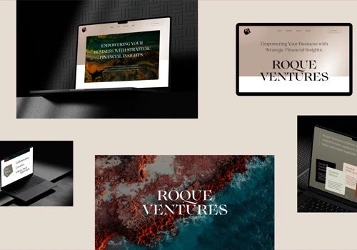 Roque Ventures: Shaping Private Equity Consulting