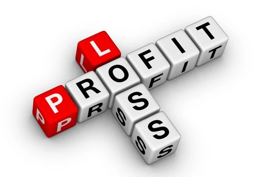 Profit & Loss by Sales Segment