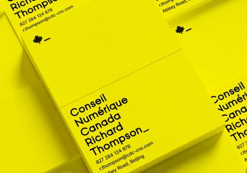 Branding, Web Design and Development