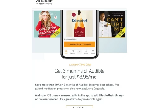 Promotional Email Optimization