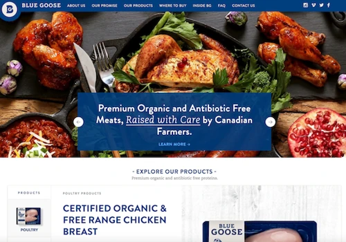Blue Goose Pure Foods - CPG Marketing