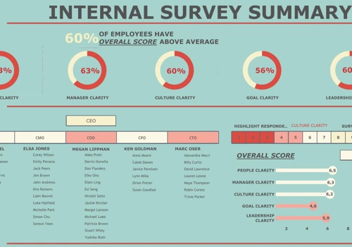 Survey Summary Report