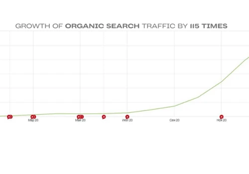 From 0k to 10k Organic Traffic Growth in 11 month