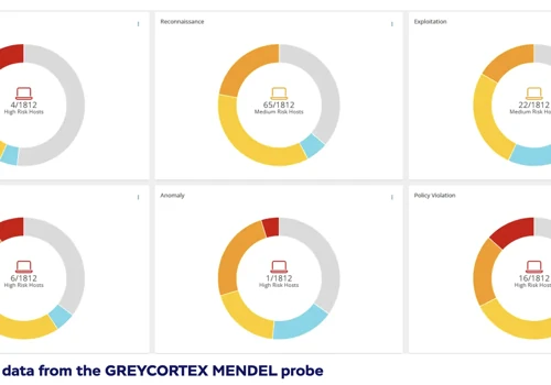 Consulting in internal process setup and IT audit