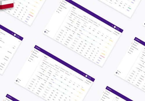 Automated flight permit system