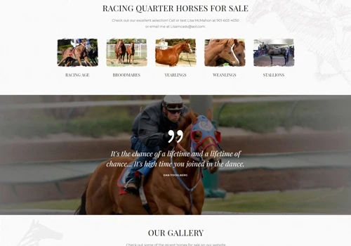Blazinfire Website Design