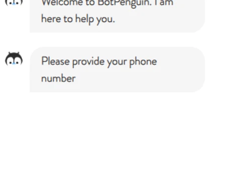 How your Chatbot will Look
