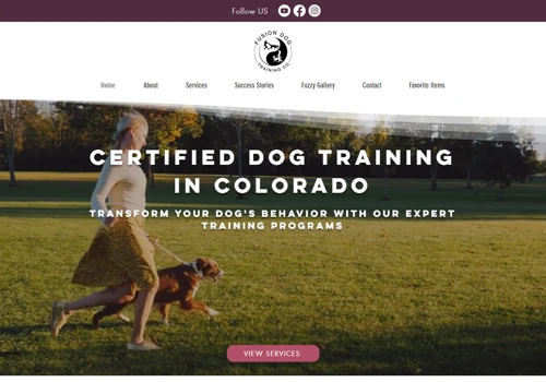 Dog Trainer Web Design and SEO
