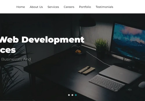 Custom Web Developed
