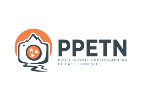 Website Design & AEO Optimization