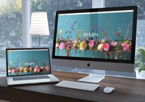 Tulipa