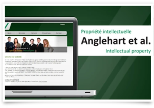 Company Website and Web Application