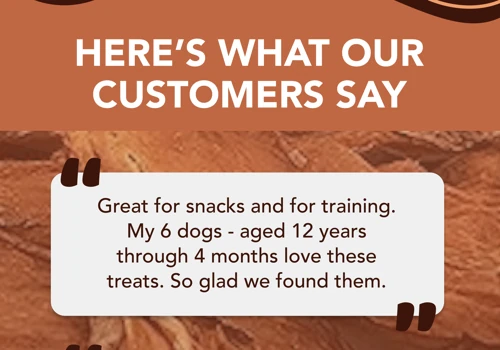 Brutus & Barnaby Email Redesign