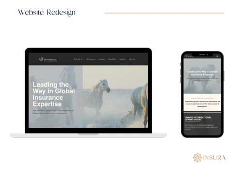 Site Redesign for International Wealth Protection