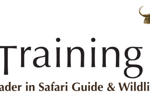 EcoTraining Website