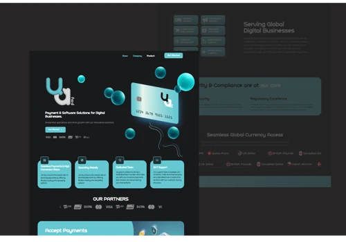 Branding and Web Development for a PSP