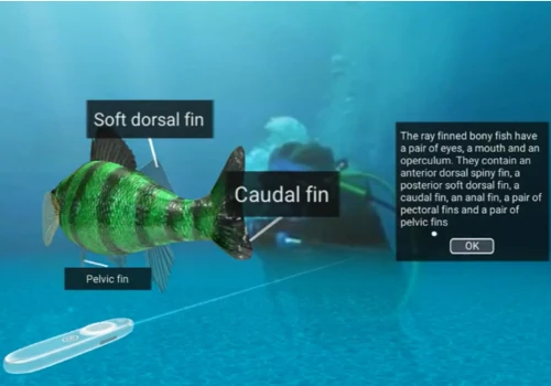 Immersive Virtual Biology Learning