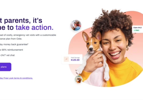 Launching a Pet Insurance Startup - Odie