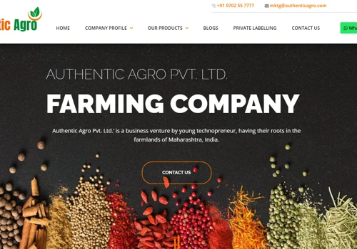 Web Development and Sales Handling