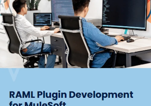 RAML Plugin Development for MuleSoft