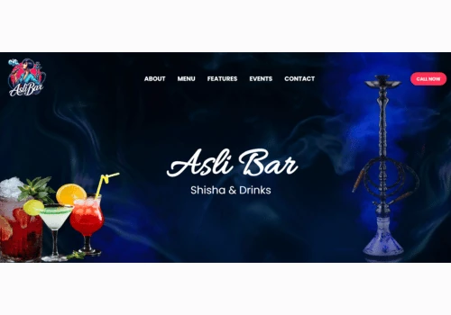 Modern Shopify Website for Premium Nightlife & Bar