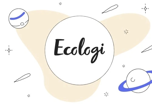 Ecologi: Marketing Hub