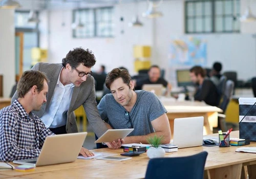 web development team