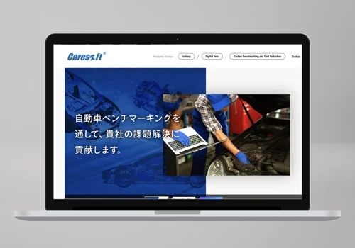 Website launch